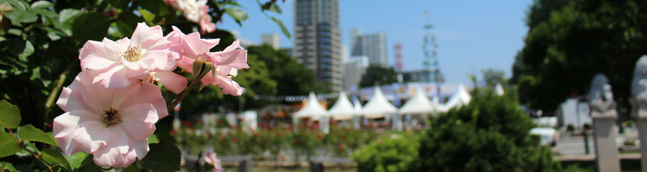 プライバシーポリシー